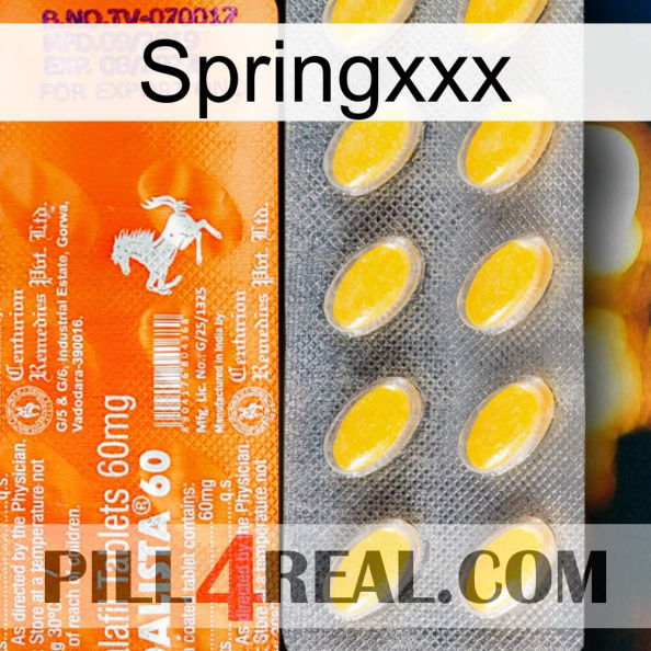 Springxxx new05.jpg